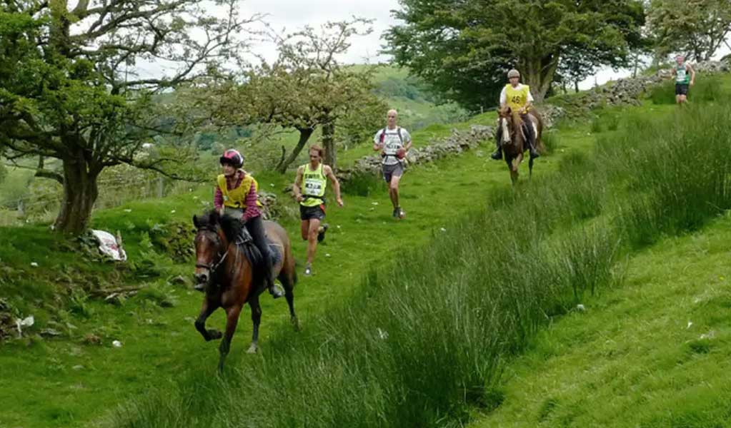 Man is running alongside horses in Man vs Horse Marathon