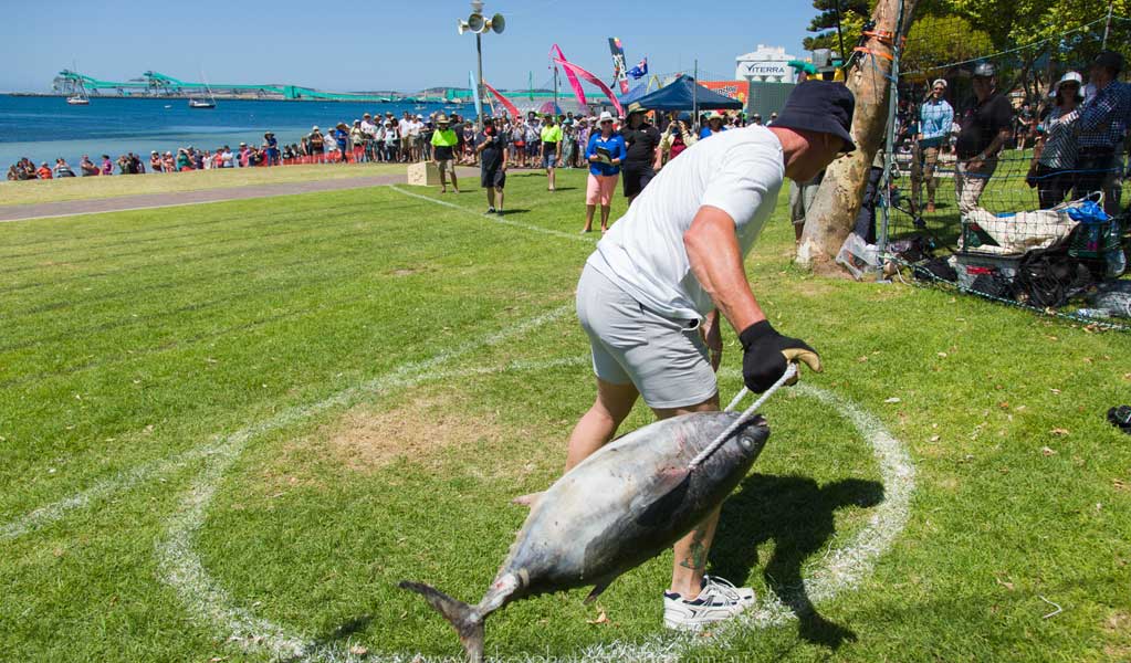 Tuna Tossing is one of the unusual sport