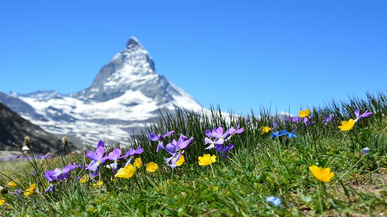 Swiss Alps, Switzerland