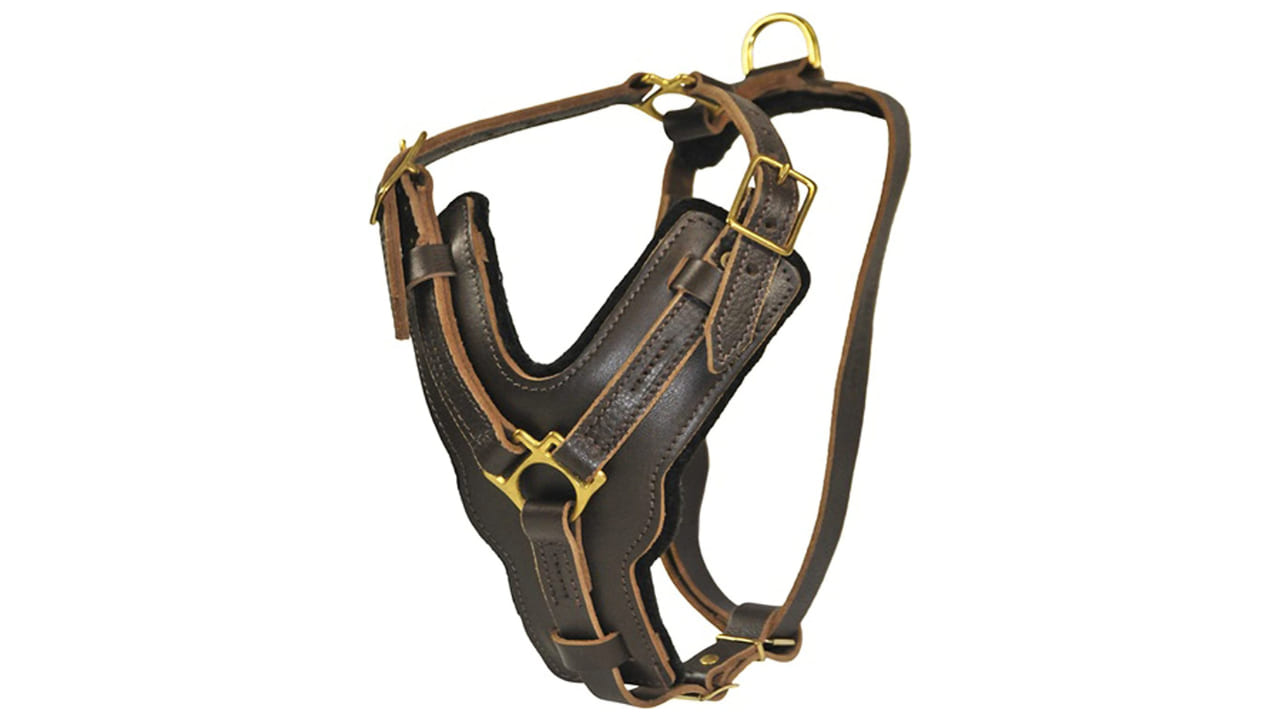 Dean and Tyler Brass Hardware Dog Harness