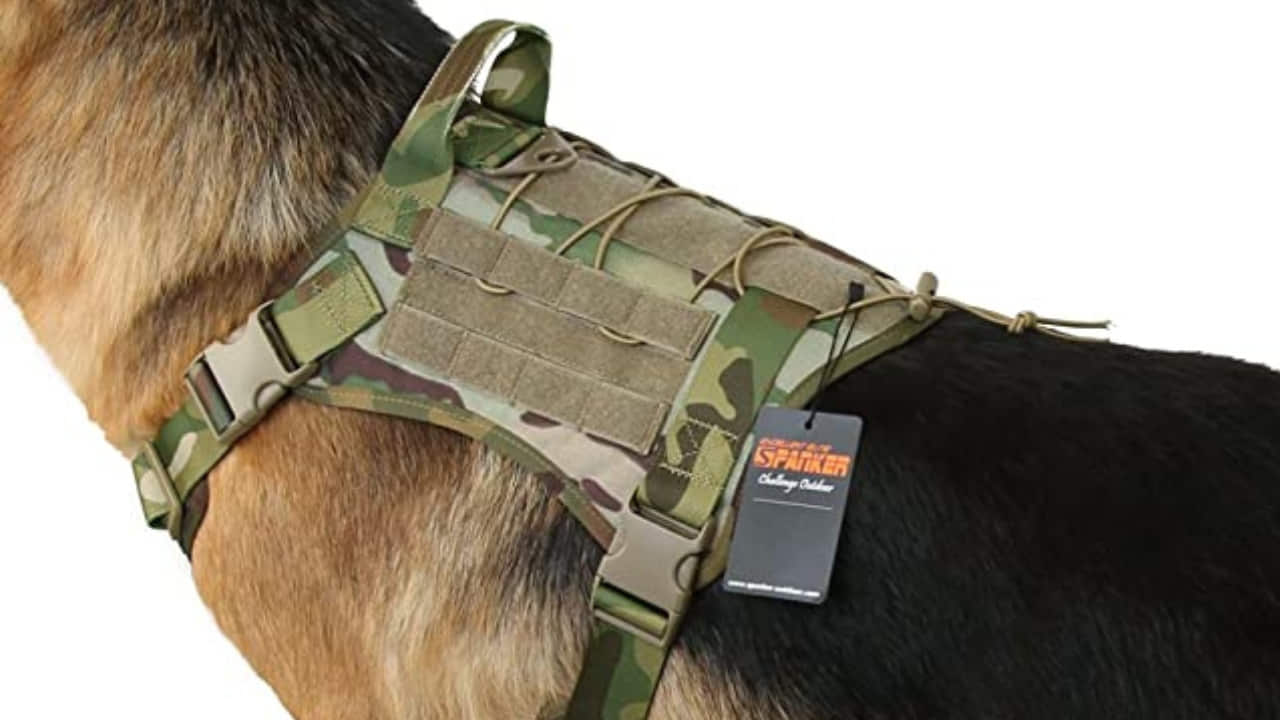 EXCELLENT ELITE SPANKER Military Dog Vest