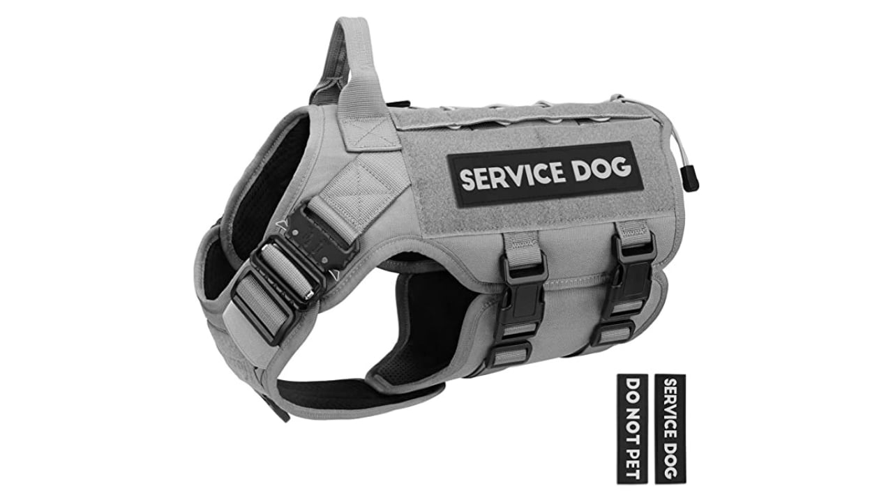 10 Best Tactical Dog Harness & Vests | Ultimate Top Picks