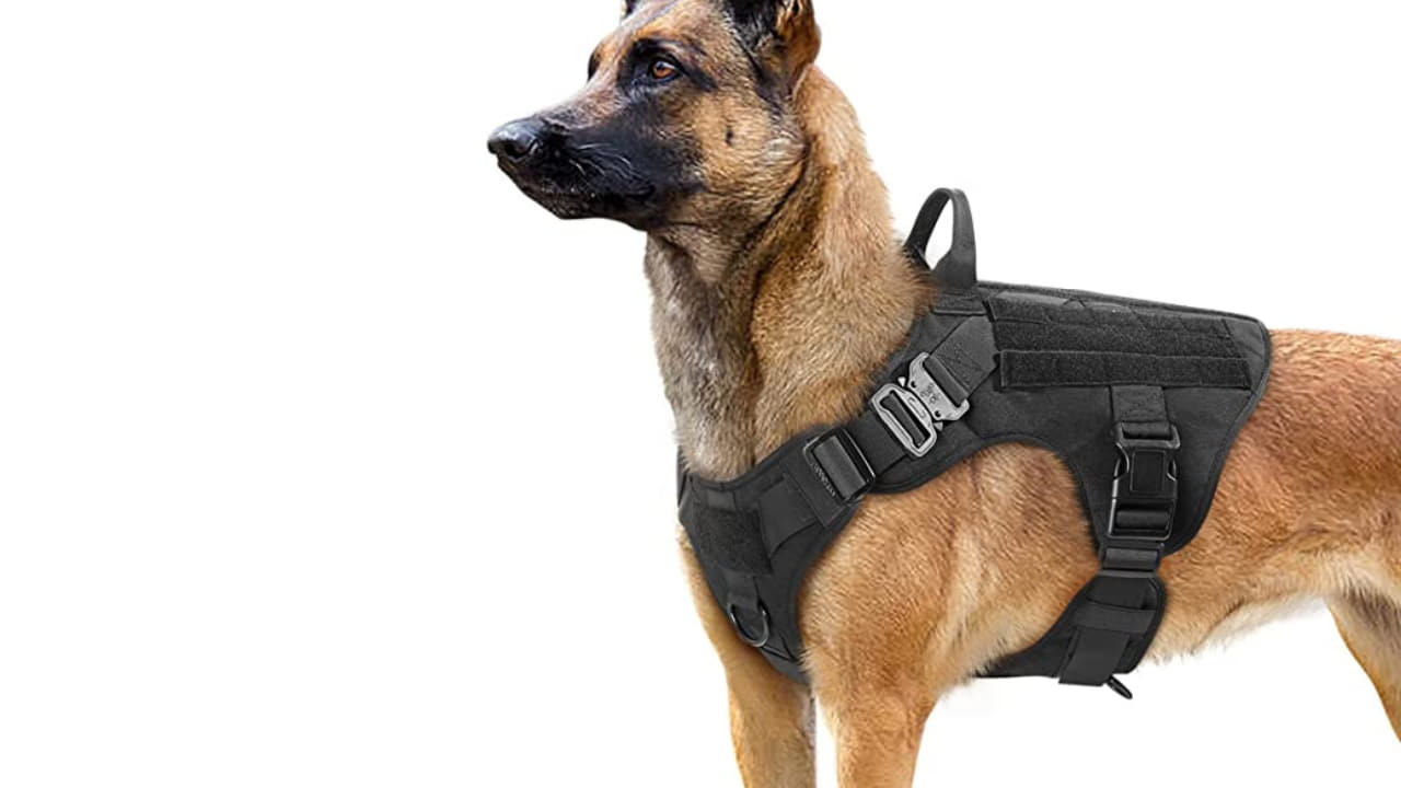 Rabbitgoo Tactical Dog Harness