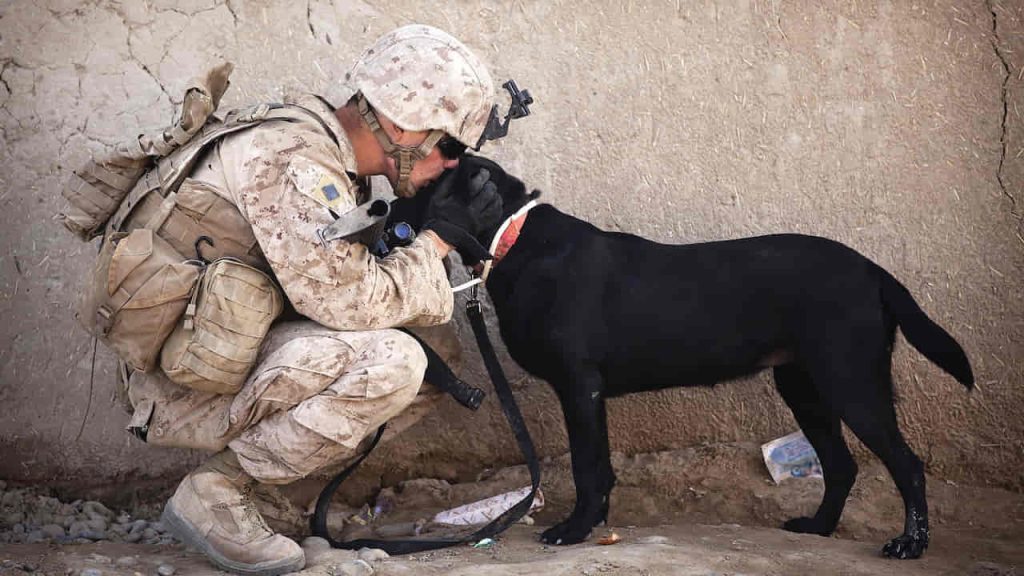 soldier and black dog cuddling