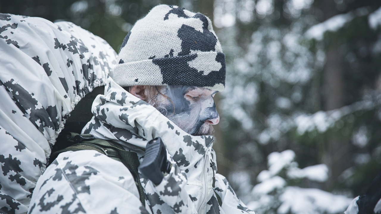 Winter camouflage