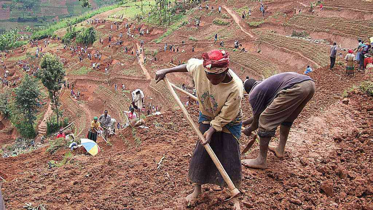 Soil Erosion