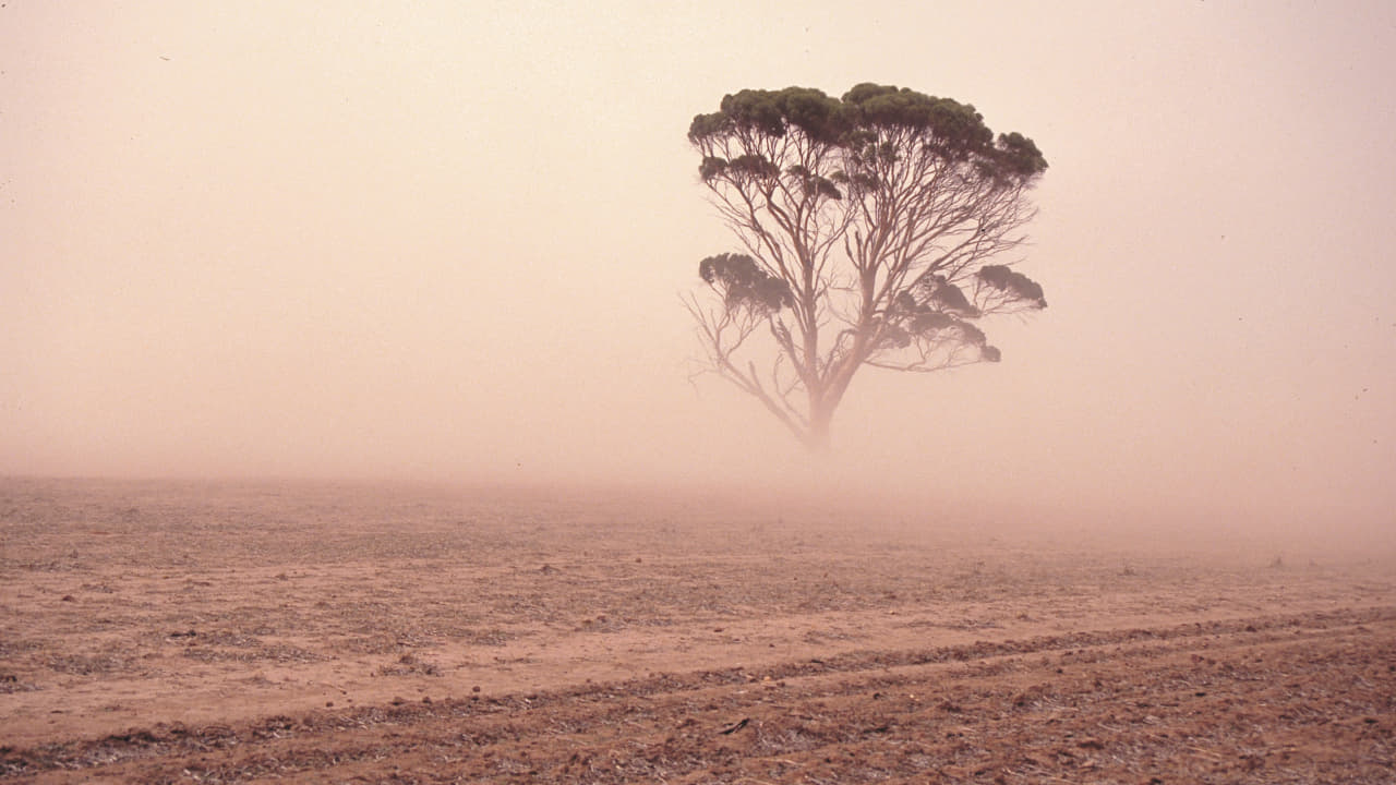 Wind Erosion happens due to the texture of the soil