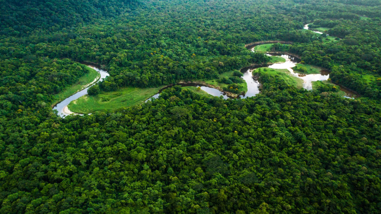 atlantic forest arial view which is the 3rd largest rainforest