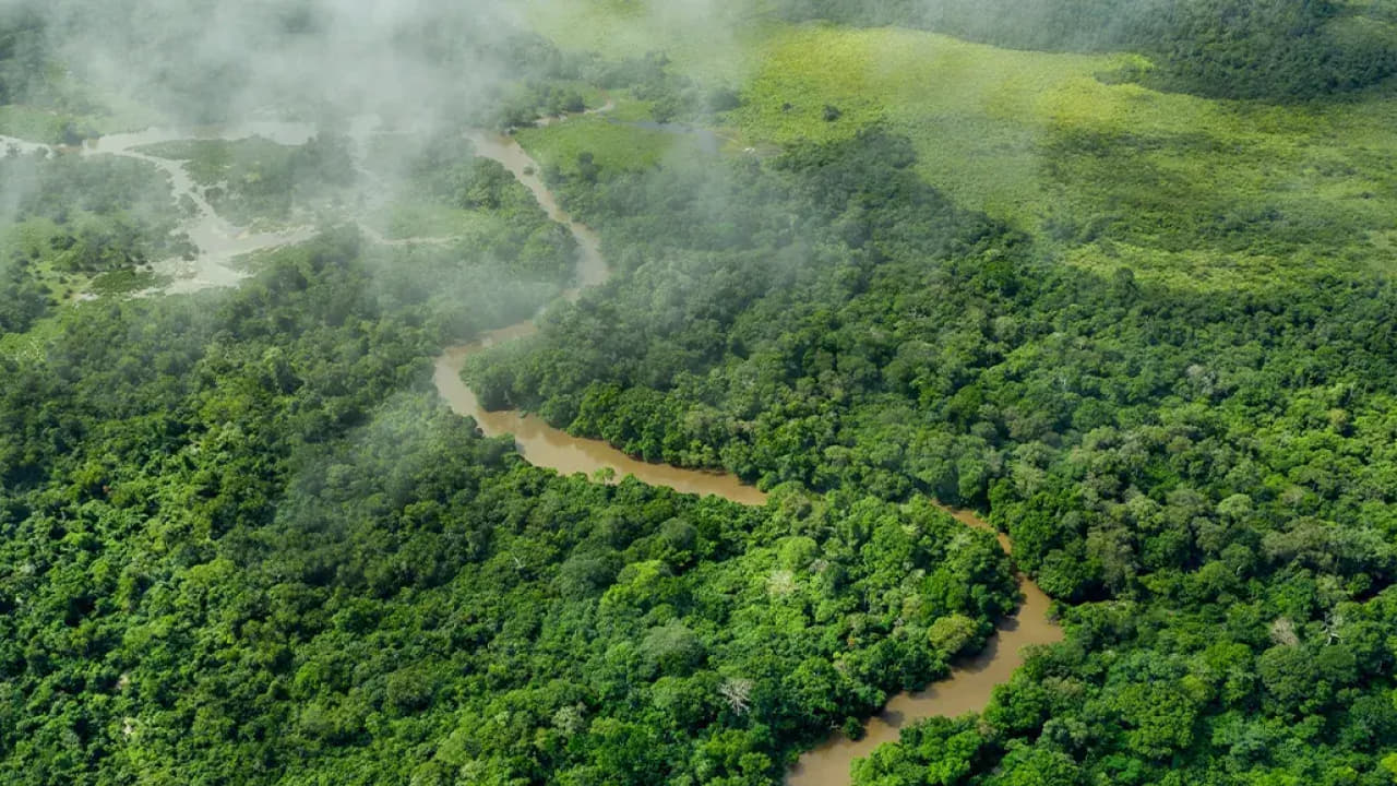 arial view of congo basin which is the 2nd largest rainforest in the world