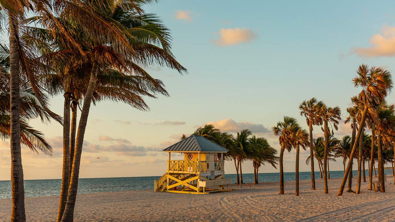 Miami crandon Park seaside area