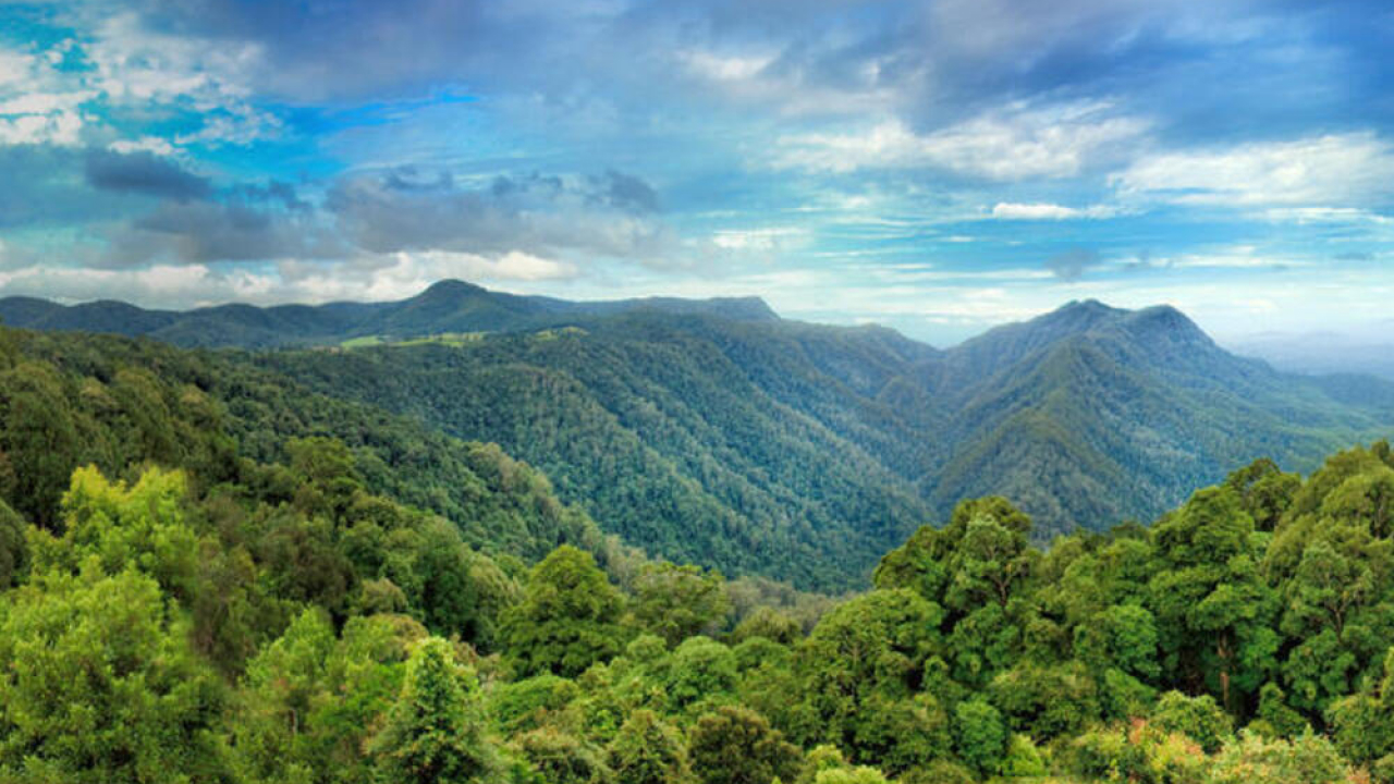 far arial image of the Eastern Australian temperate forests