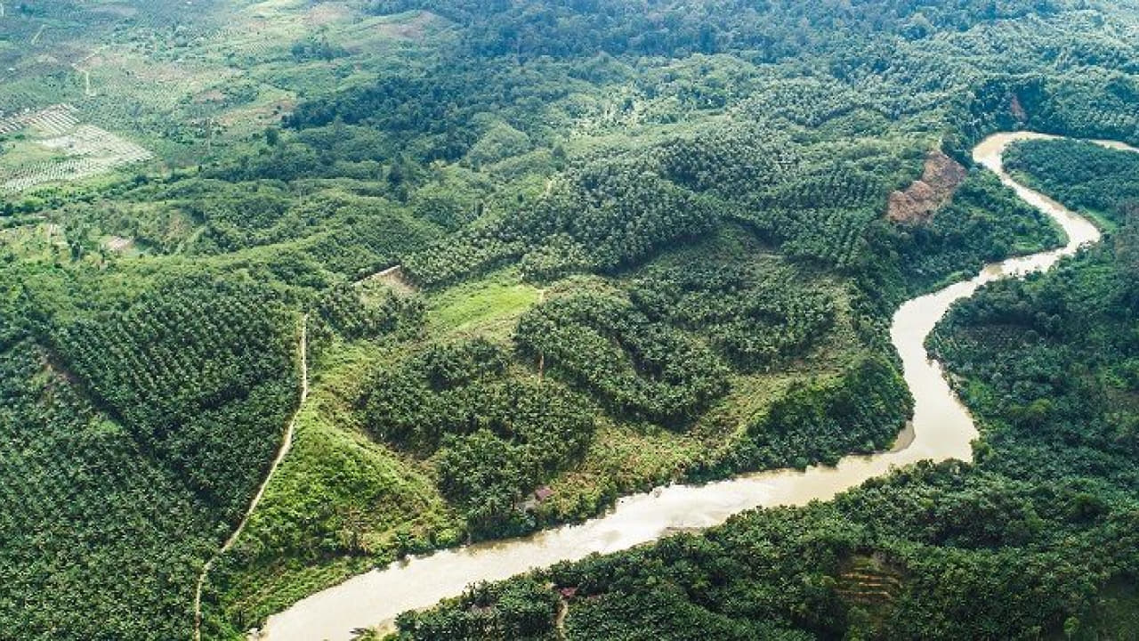 river and forest view of Tropical Rainforest Heritage of Sumatra