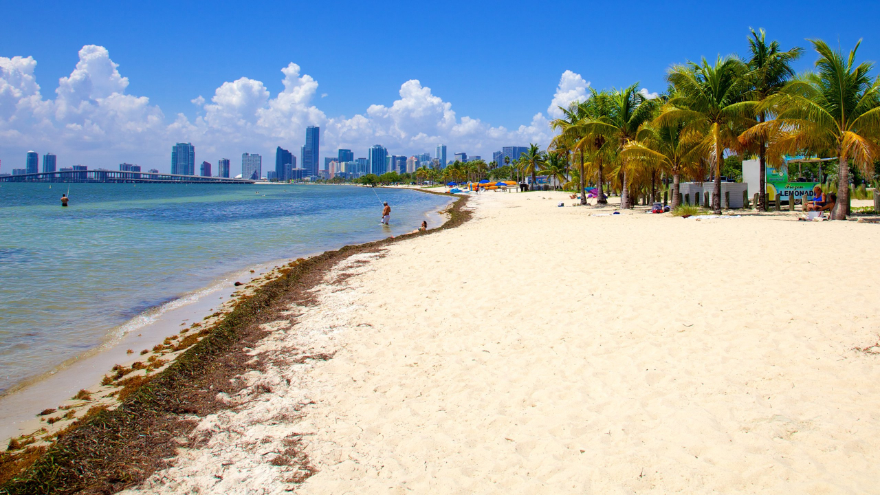 Virginia Key Beach has plenty of green space and less crowded