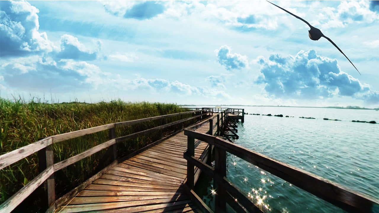 For the nature lovers, Back Bay National Wildlife Refuge is a must-visit