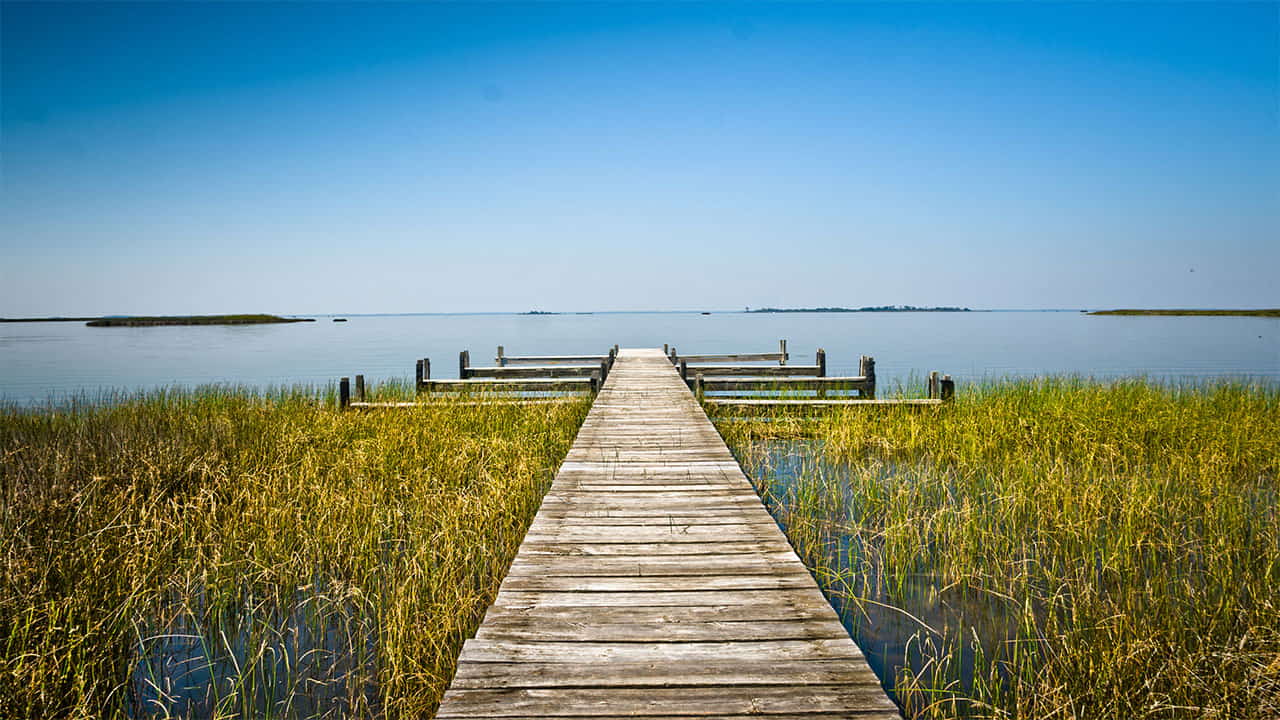 The False Cape State Park has a quiet and peaceful view