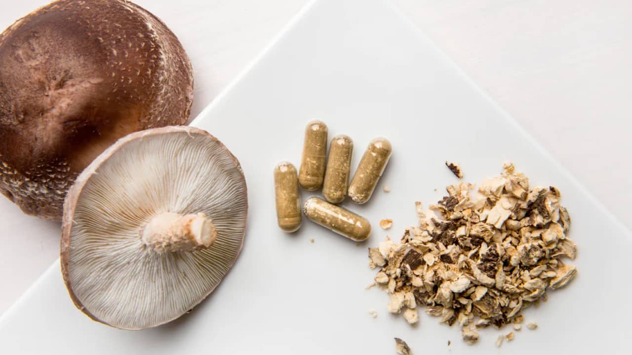 mushroom and its supplements