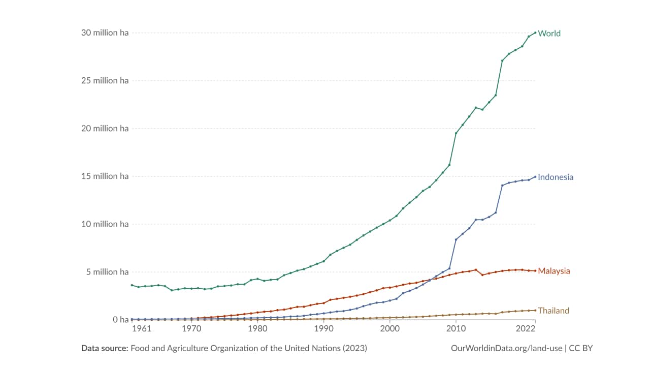 land use for palm oil extraction by year