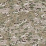 multicam