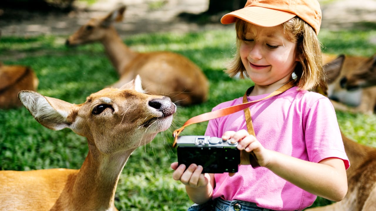 a young girl taking selfie with a deer in a safari