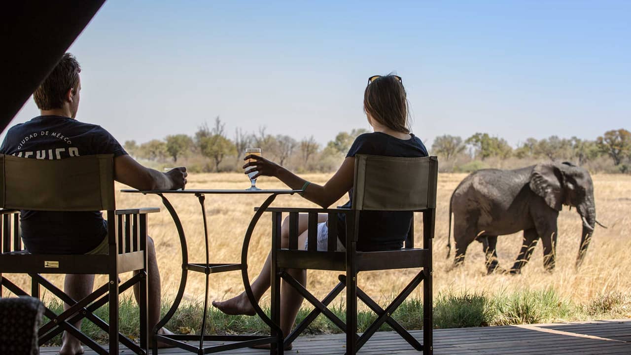 A man and woman are sitting and having drinks and also enjoying the view of an elephant