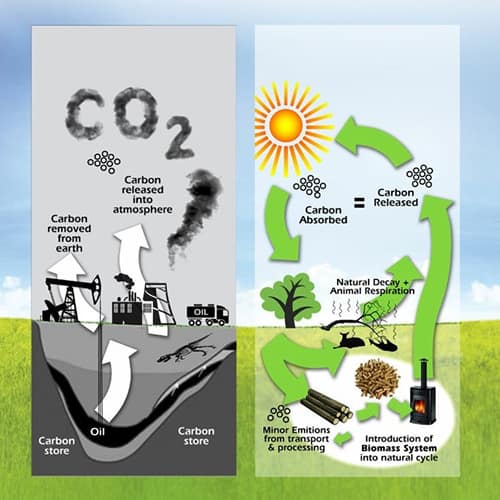 A process of burning fossil fuels explained and in which form it is released