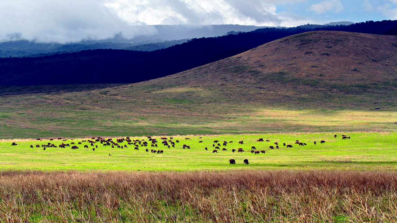 A beautiful spot in Ngorongoro Crater for spotting rhinos