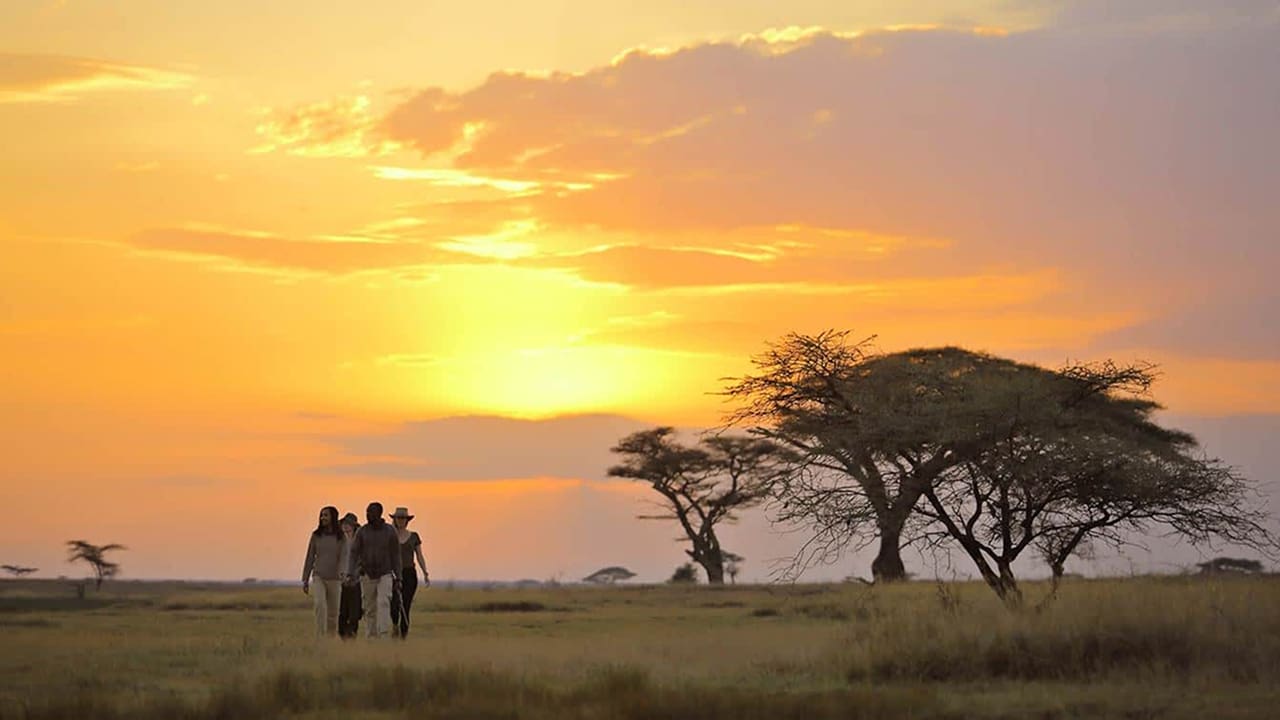 Visitors enjoying the view of Serengeti National Park in East Africa