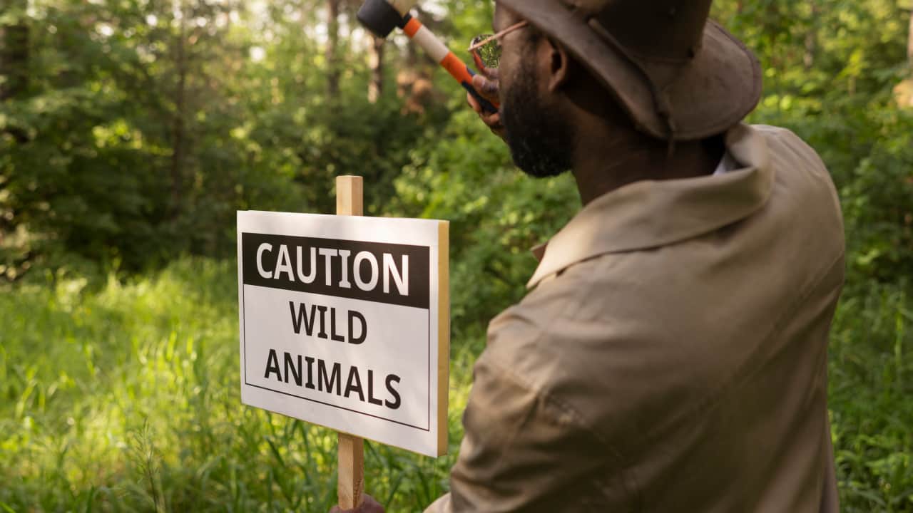 side view of a safari in Africa and a warden putting a signboard