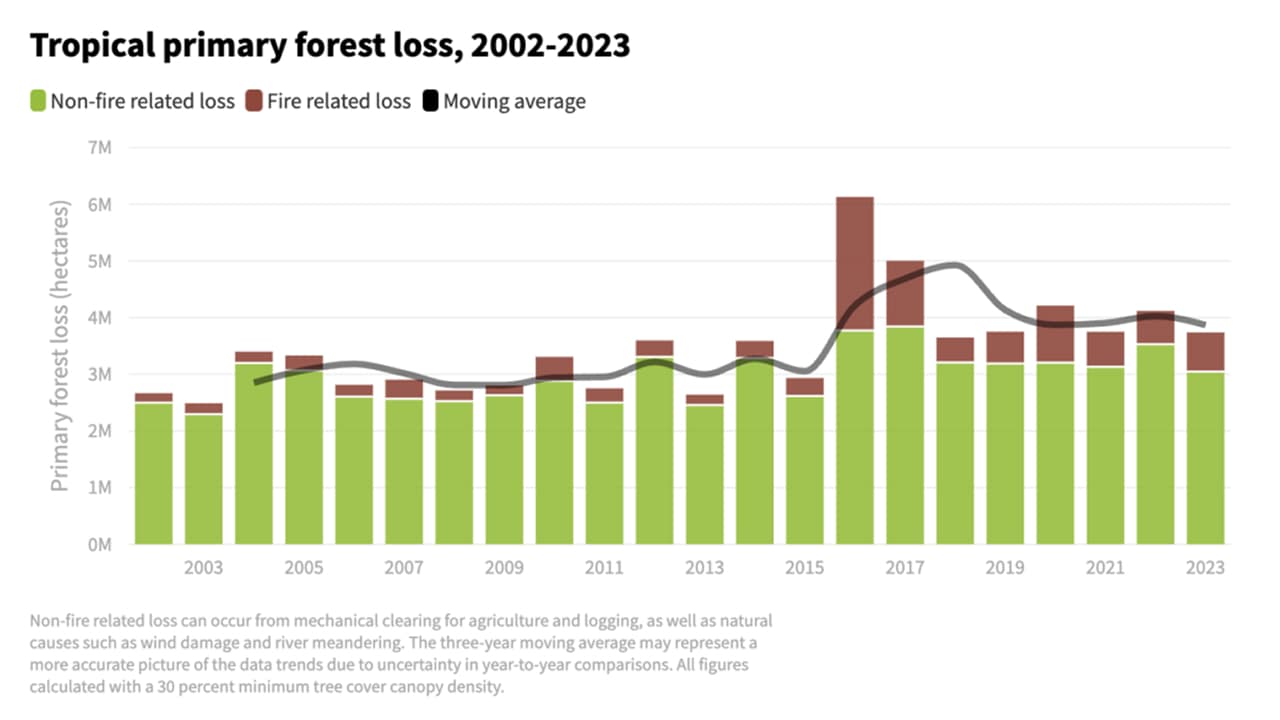 A graph in which they are analyzing the percentage of forest loss