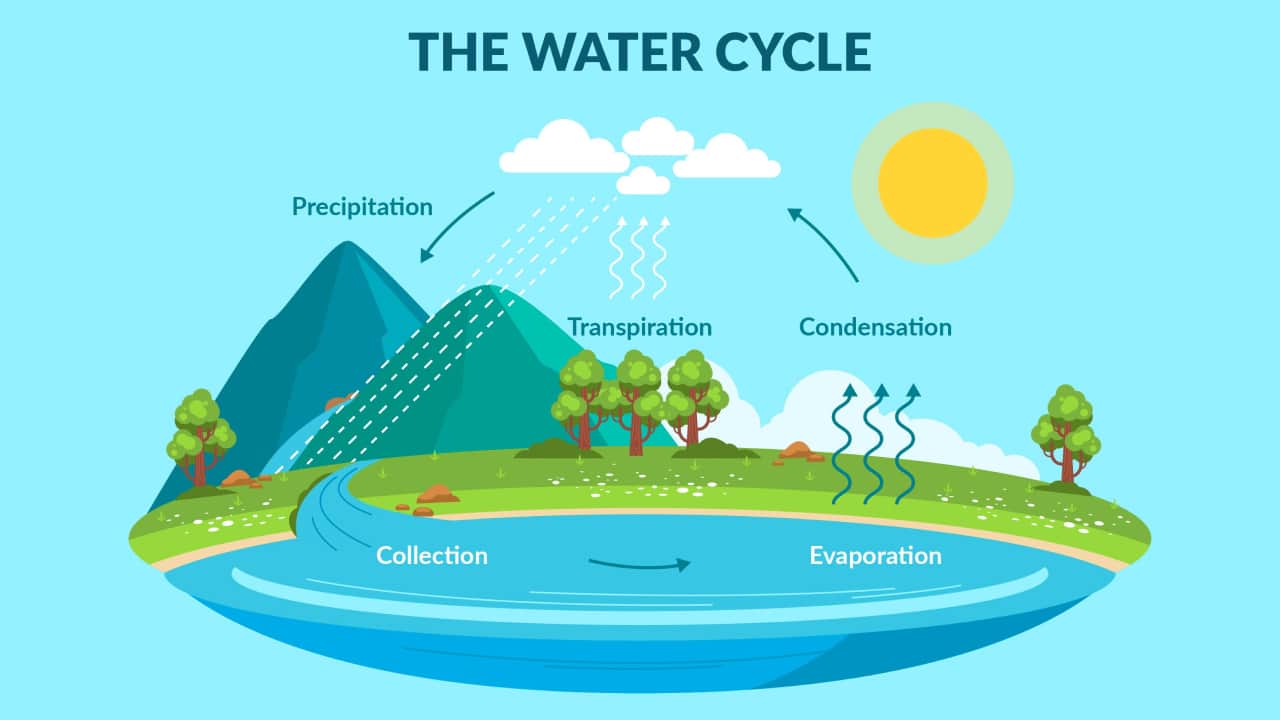 the image explaining the process of water cycle