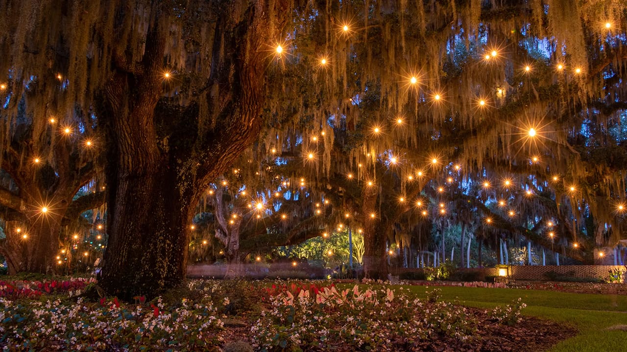 Brookgreen Garden is beautifully decorated with lights all around