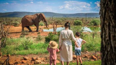 family safari in east africa