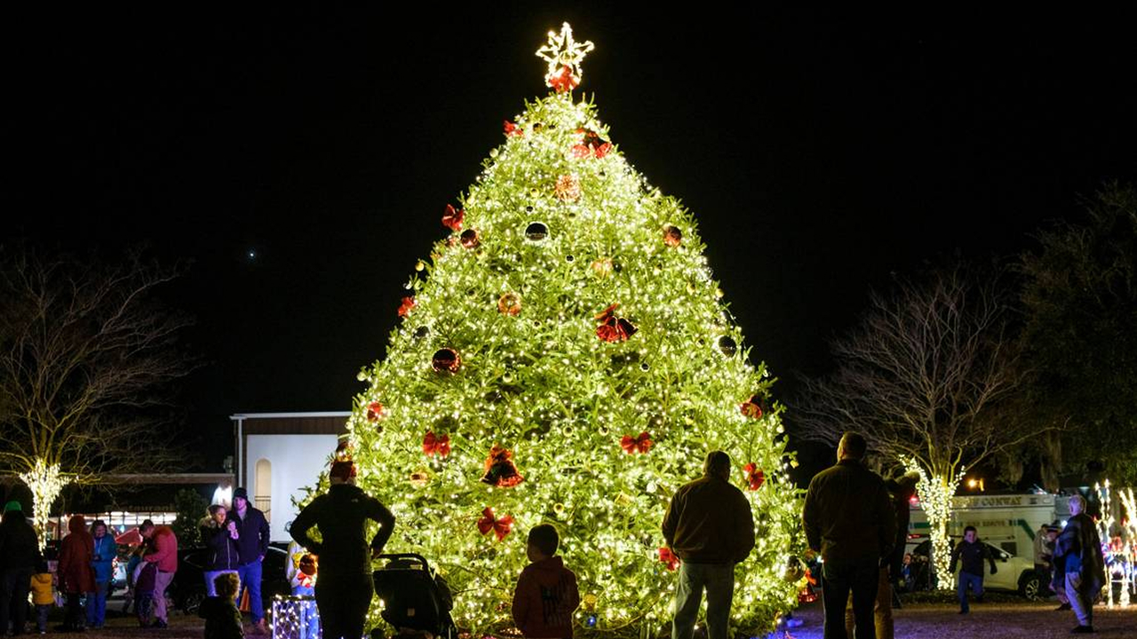 Many people are enjoying the view of the Christmas tree