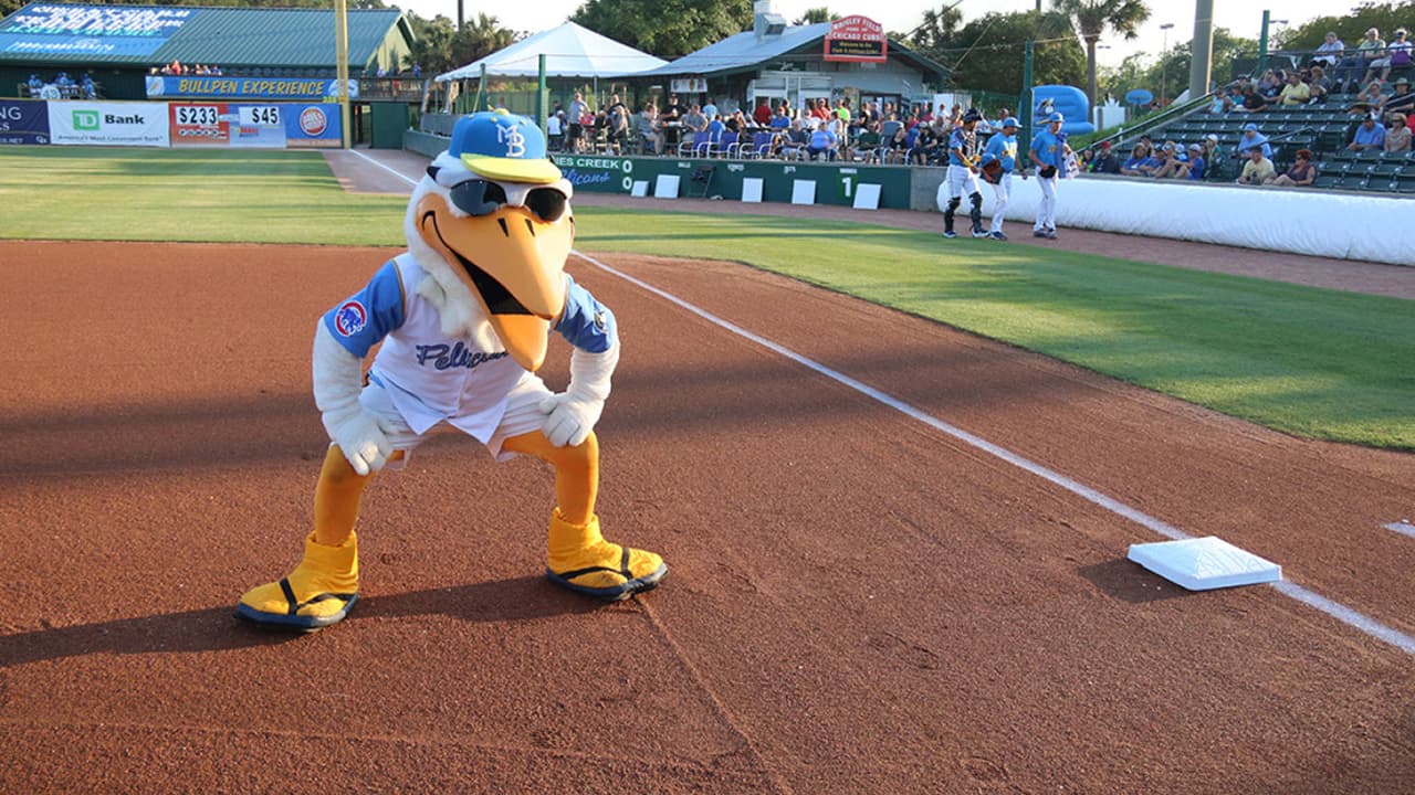 The Pelicans Baseball Game is happening, and many people are watching