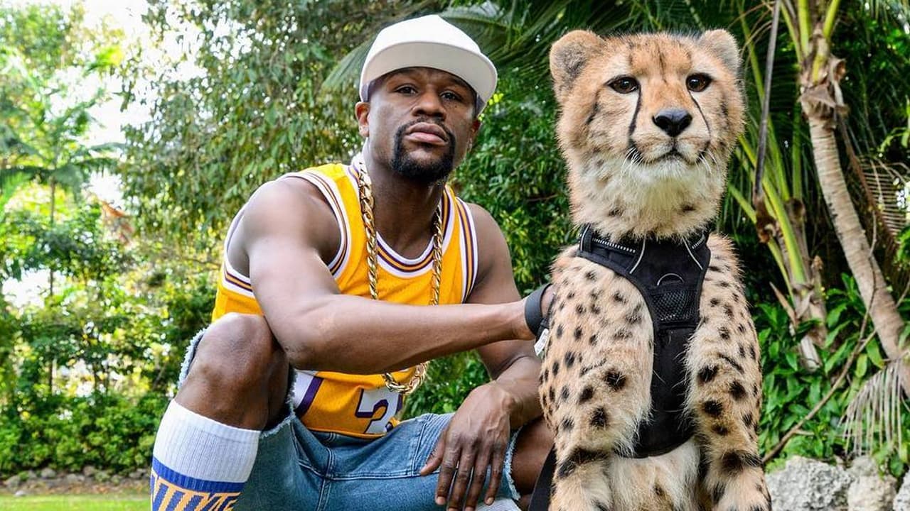 A visitor confidently poses for a picture with a tiger in myrtle beach safari