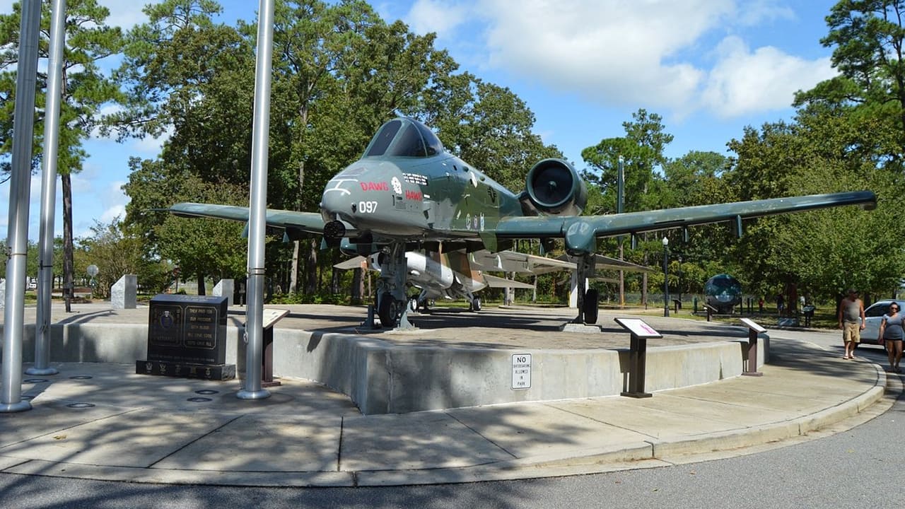 Waybird Park at Myrtle Beach offers a unique experience where this military aircraft is found