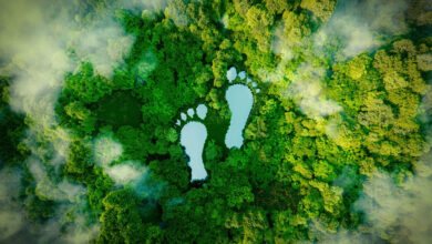 how to reduce carbon footprint