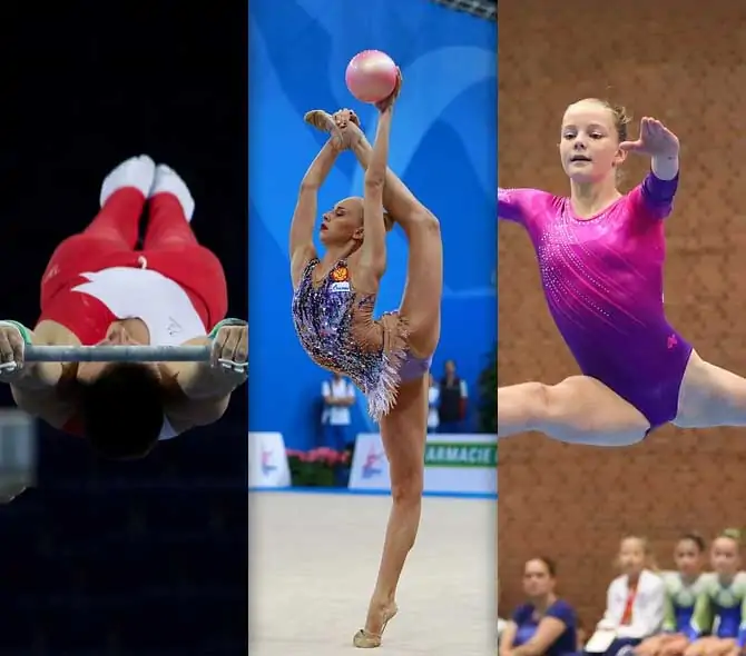 Types of Gymnastics