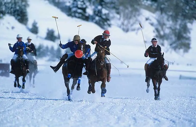 polo playing in snow and glaciers