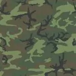 ERDL camo patren