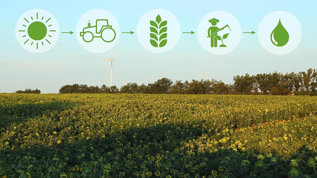 A background showing the field and there is a concept of agriculture