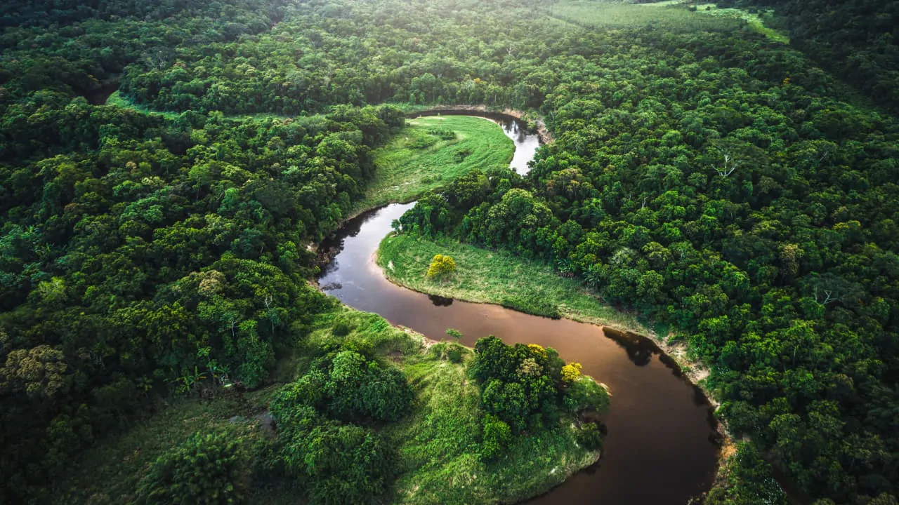 Amazon forest is the largest rainforest in the world with arial view