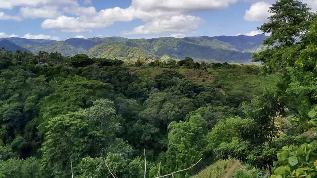 view of The Bosawás Biosphere Reserve across central america