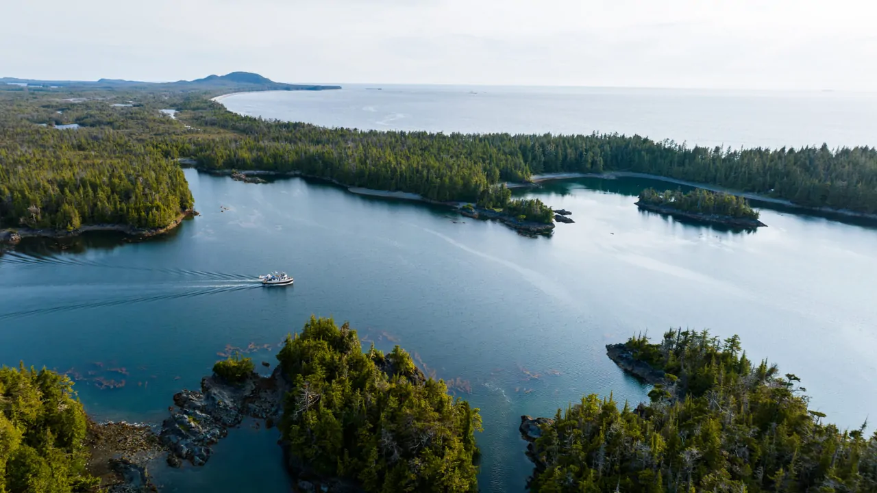 The Pacific Temperate Rainforest's view of rich flora and fauna