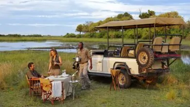 african honeymoon safari