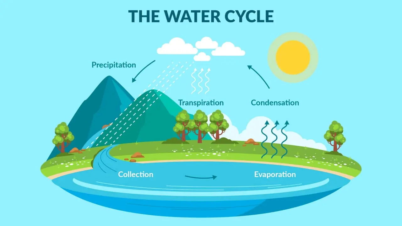 the image explaining the process of water cycle 