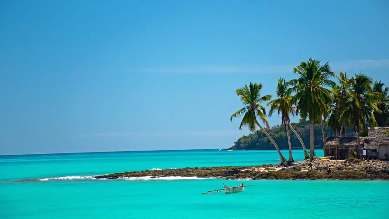 Crystal-clear blue water and palm trees in Madagascar which is among the best african islands to honeymoon