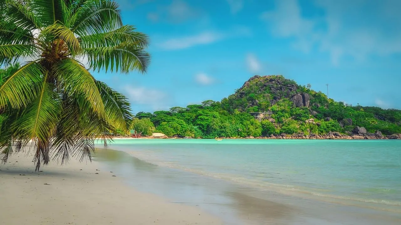 Praslin is an island in Seychelles that gives beautiful vibes, and it is filled with greenery